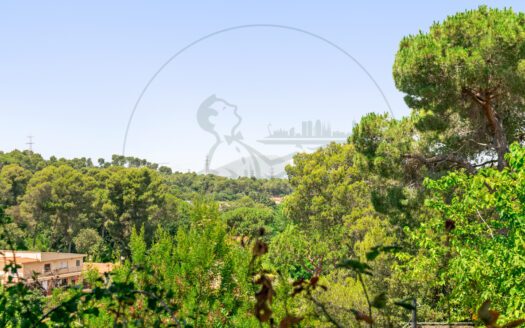 Vivienda unifamiliar en La Floresta