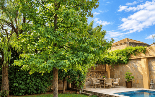Casa de pueblo con encanto en Serra de Daró